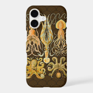Cephalopod Octopus Squid Marine Nature