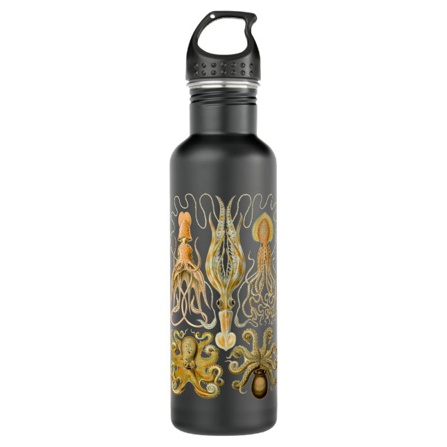 Cephalopod Octopus Squid Marine Nature 710 Ml Water Bottle (Front)