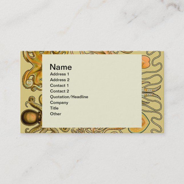 Cephalopod Octopus Squid Marine Nature Business Card (Front)