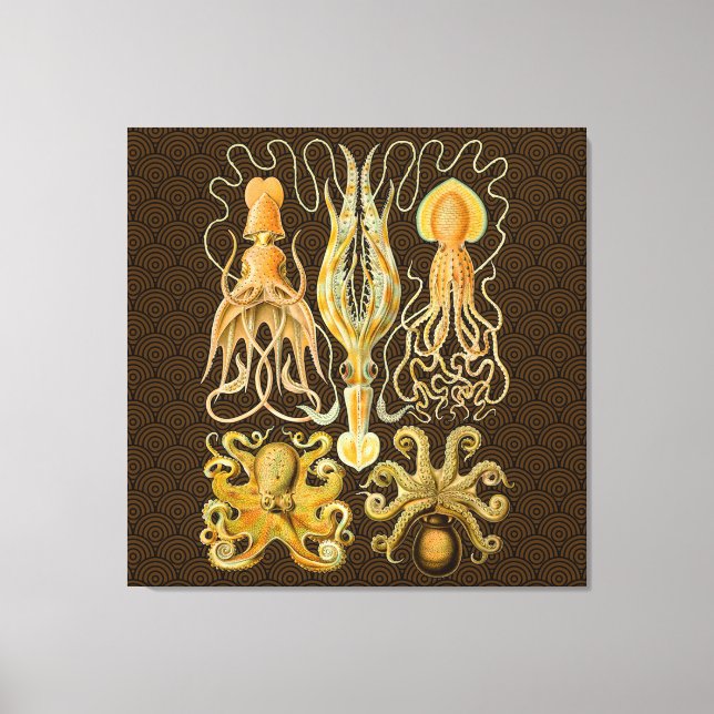 Cephalopod Octopus Squid Marine Nature Canvas Print (Front)