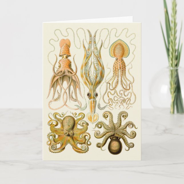 Cephalopod Octopus Squid Marine Nature Card (Front)