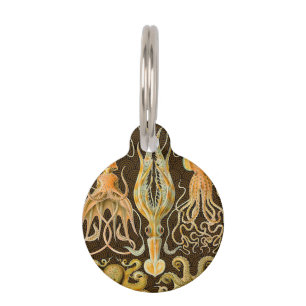 Cephalopod Octopus Squid Marine Nature Pet Tag