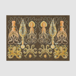 Cephalopod Octopus Squid Marine Nature Tissue Paper