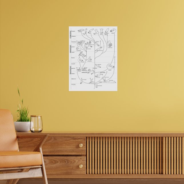 Cephalopod Phylogeny Poster (Living Room 2)