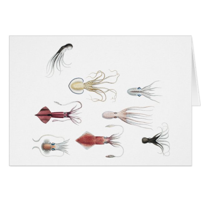 Cephalopodified (Front Horizontal)