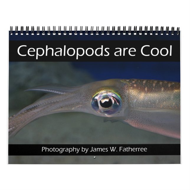 Cephalopods are Cool Calendar (Cover)
