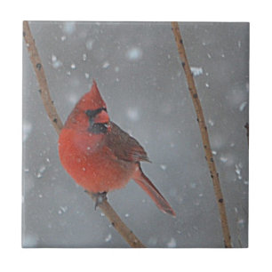 Ceramic Cardinal Tile