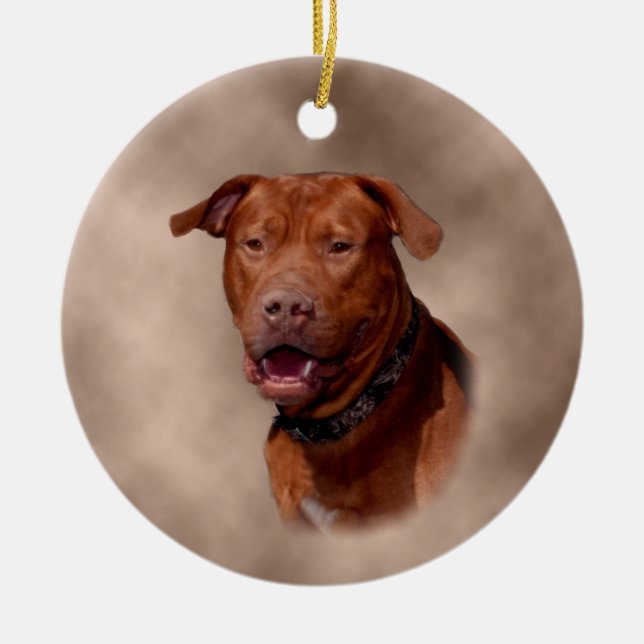 Ceramic Christmas Tree Ornament (Front)