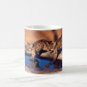 Ceramic Coffee Mug-Cougar Cubs Mug