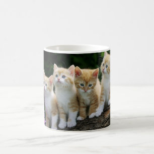 Ceramic Coffee Mug-Kittens Coffee Mug