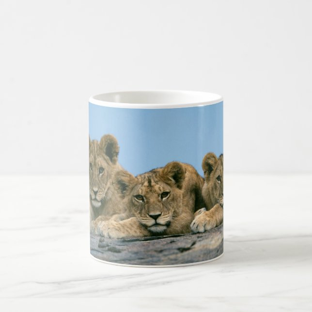 Ceramic Coffee Mug-Lion Cubs Coffee Mug (Center)