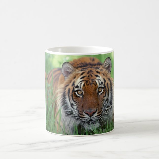 Ceramic Coffee Mug-Tiger Mug (Center)
