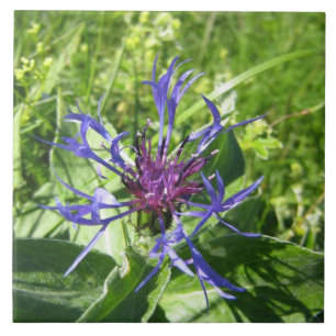 Ceramic mural decoration, blue Fleur Tile