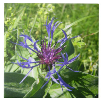 Ceramic mural decoration, blue Fleur Tile