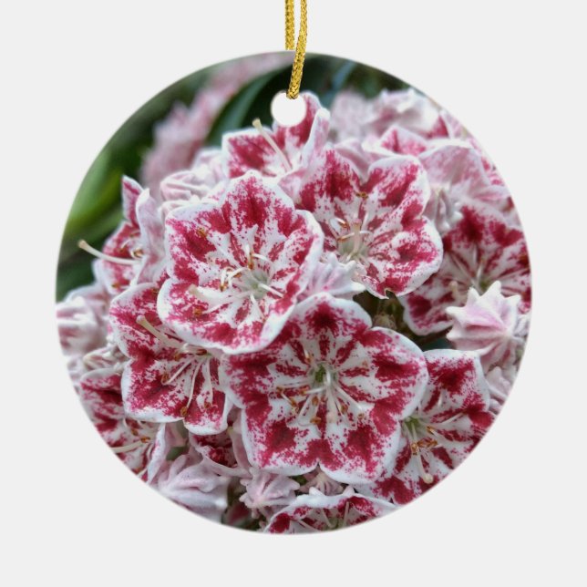 Ceramic ornament with mountain laurel (Front)