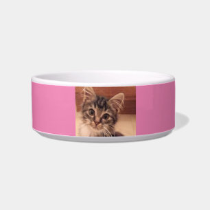 Ceramic Pet Bowl