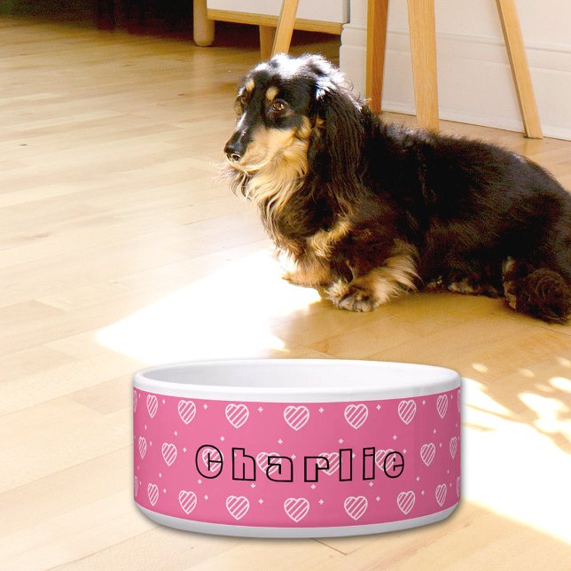 Ceramic Pet Bowl (Creator Uploaded)