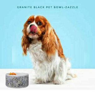 Ceramic Pet Bowl