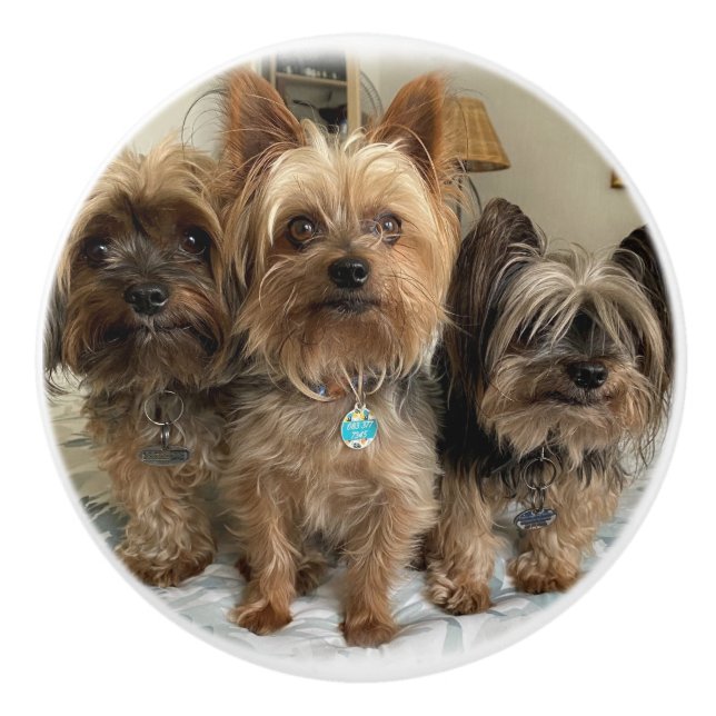 Ceramic Pull (Front)