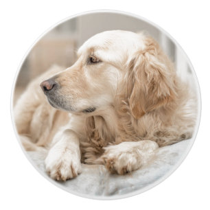 Ceramic Pull with portrait of Golden Retriever