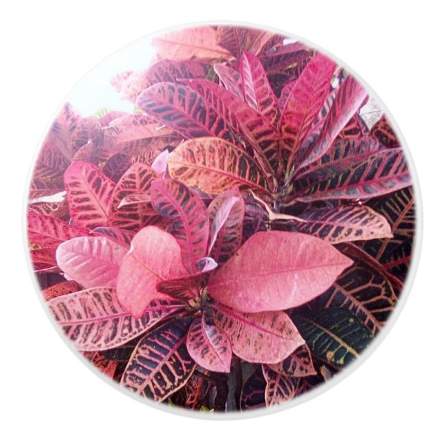 Ceramic splash colours pull (Front)