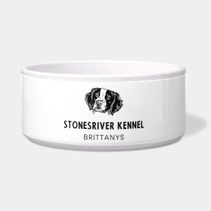 Ceramic SRK Brittany Food Bowl