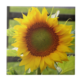 Ceramic Sunflower Tile