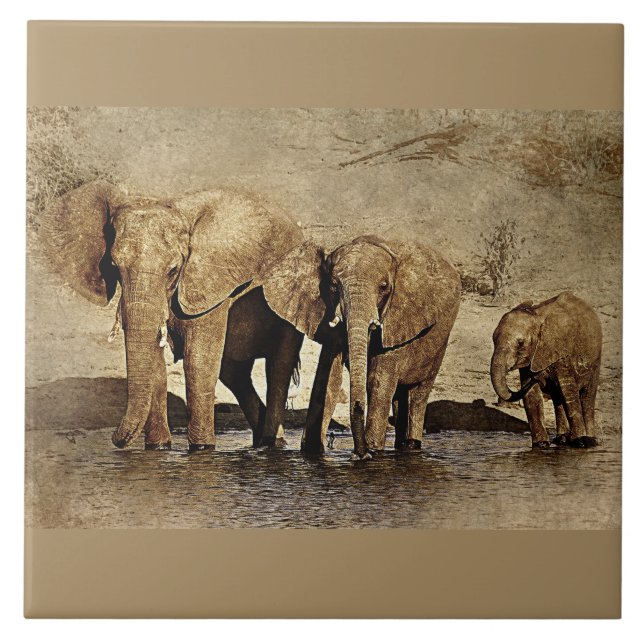 Ceramic Tile (Front)