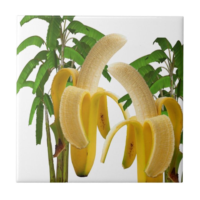 Ceramic Tile Banana Tree (Front)