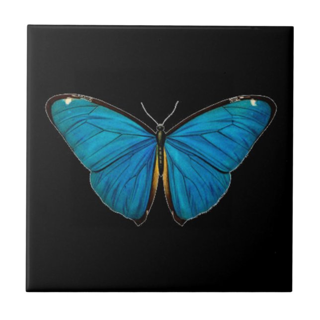 CERAMIC TILE : BLUE BUTTERFLY (Front)