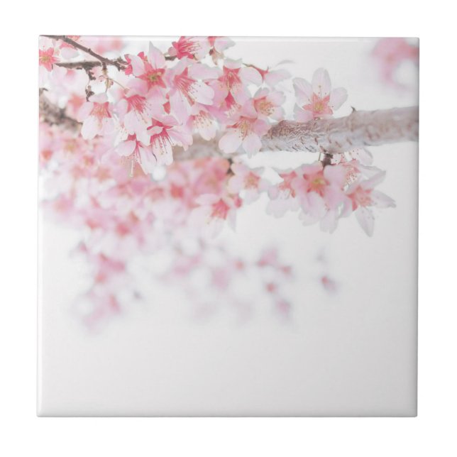 CERAMIC TILE : CHERRY BLOSSOM (Front)