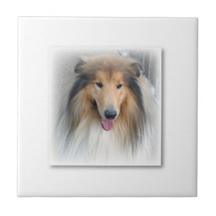 Ceramic Tile Dog