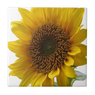 Ceramic Tile Floral Sunflower