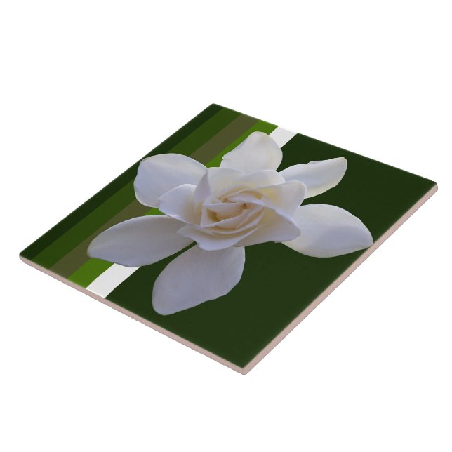 Ceramic Tile - Gardenia on Stripes (Side)