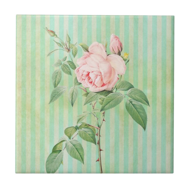 Ceramic Tile Green Stripe Vintage Floral (Front)