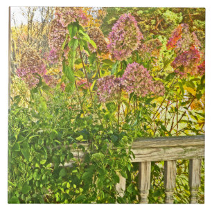 ceramic tile /"HYDRANGEAS AT WOODEN FENCE"