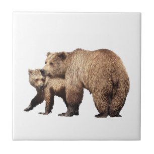 Ceramic Tile of grizzly bear & cub