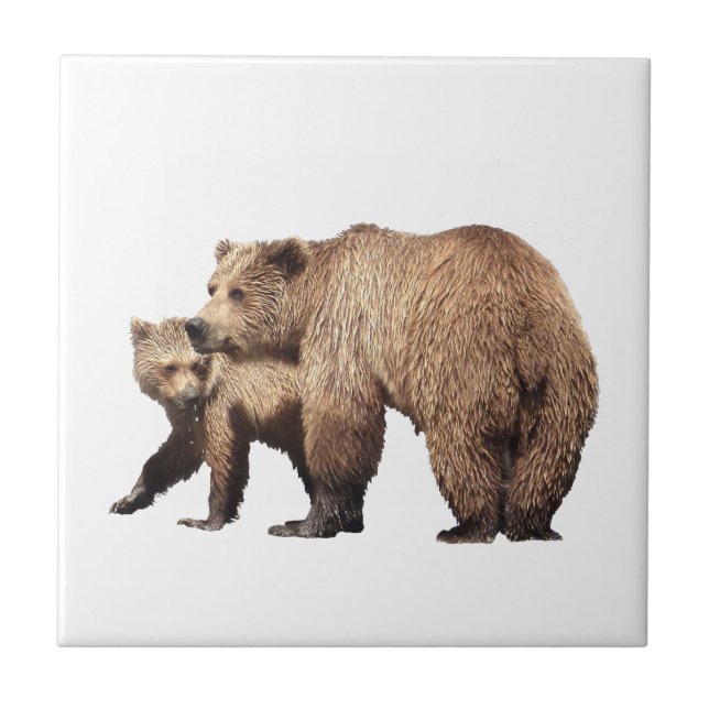 Ceramic Tile of grizzly bear & cub (Front)