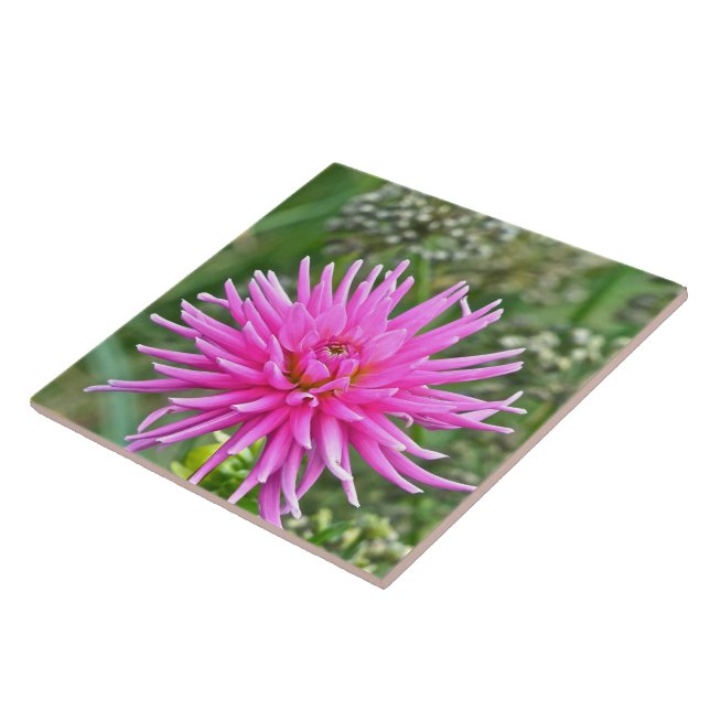 CERAMIC TILE /PINK DAHLIA (Side)