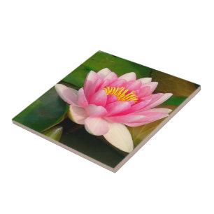 CERAMIC TILE / PINK LOTUS BLOSSOM