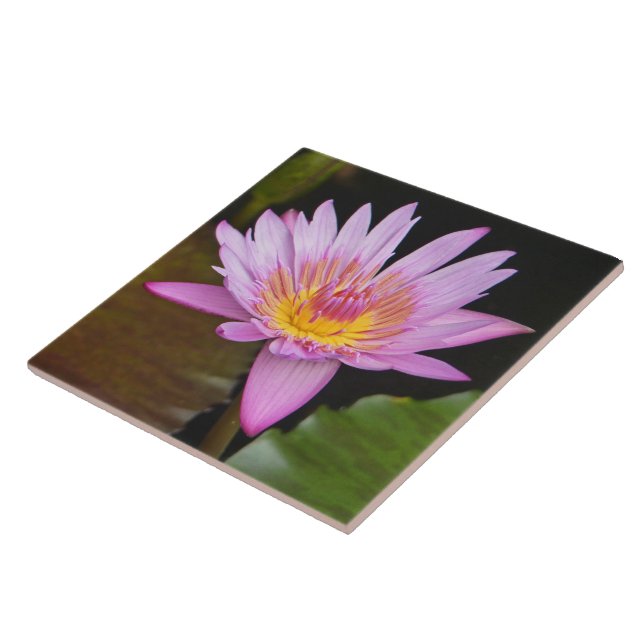CERAMIC TILE/ PINK LOTUS BLOSSOM/YELLOW CENTER TILE (Side)