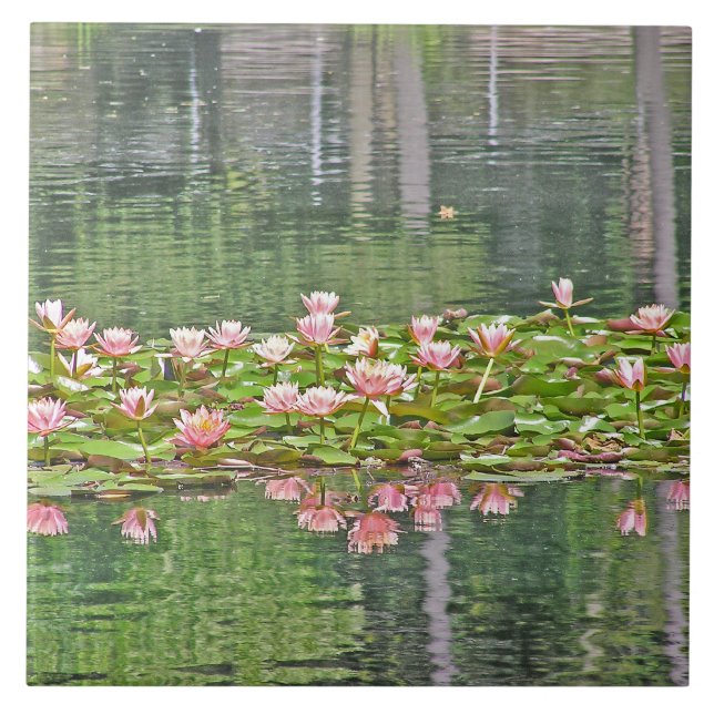 CERAMIC TILE/ PINK LOTUS BLOSSOMS/POND REFLECTIONS TILE (Front)