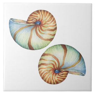 Ceramic Tile - Sea Shells