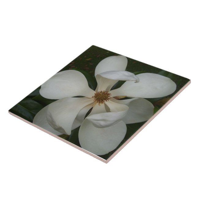Ceramic Tile - Southern Magnolia Blossom II (Side)