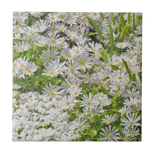 CERAMIC TILE/TRIVET WITH WHITE SHASTA DAISIES TILE