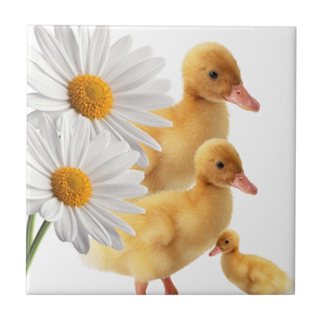 Ceramic Tile White Daisy Floral (Front)