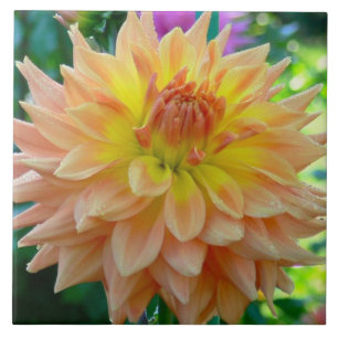 CERAMIC TILE WITH PEACH-COLORED DAHLIA