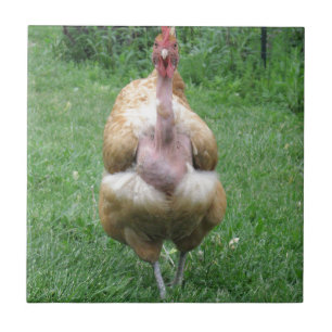 Ceramic tile with Turken Hen