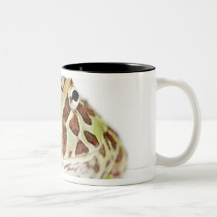 Ceratophrys Cranwelli, Cranwell's Horned Frog, Two-Tone Coffee Mug