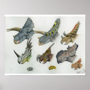 Ceratopsian Heads Print